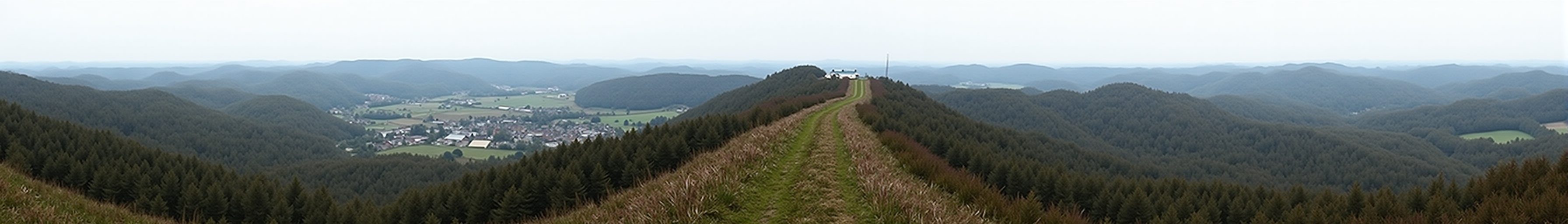 Hahn