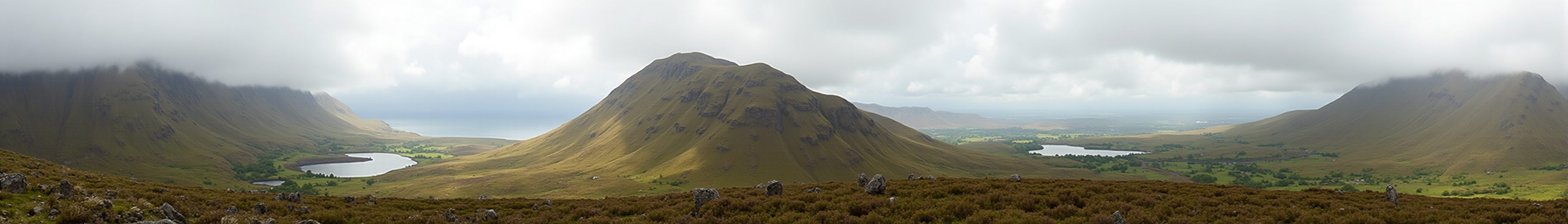 Kerry