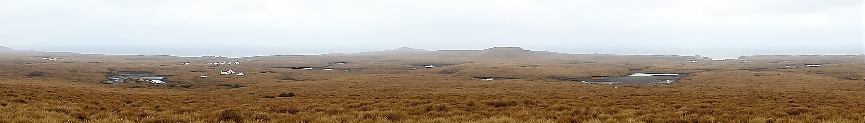 Stornoway