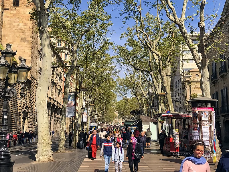 La Rambla under the plane trees