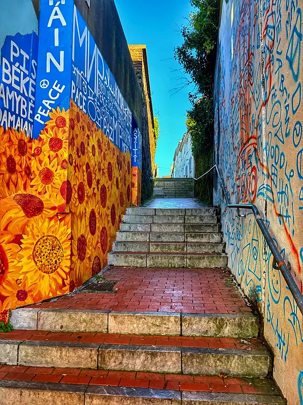 Painted steps off a Cork street