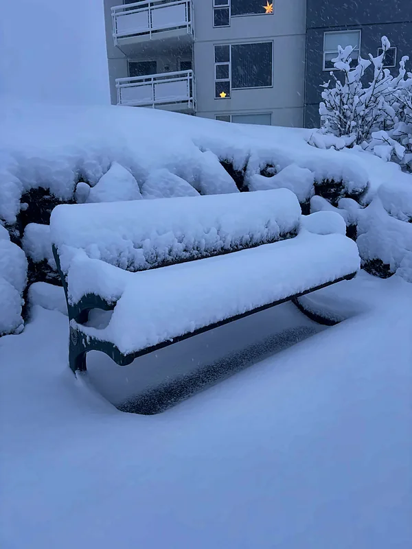 A bench under fresh snow
