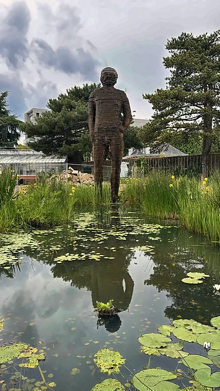 A giant figure in a lily pond