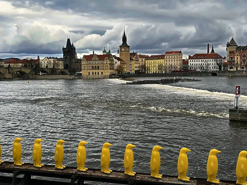 The Vltava and Charles Bridge
