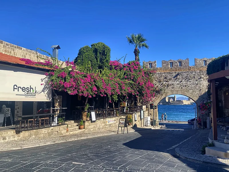 Bougainvillea by the walls