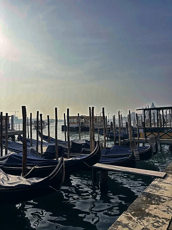 Gondolas moored on the lagoon