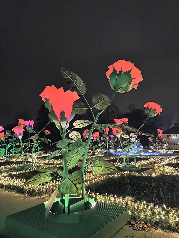 The winter light garden